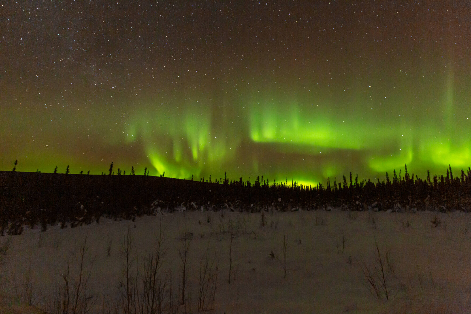 Lights in the sky - Fairbanks Northern Lights Tour