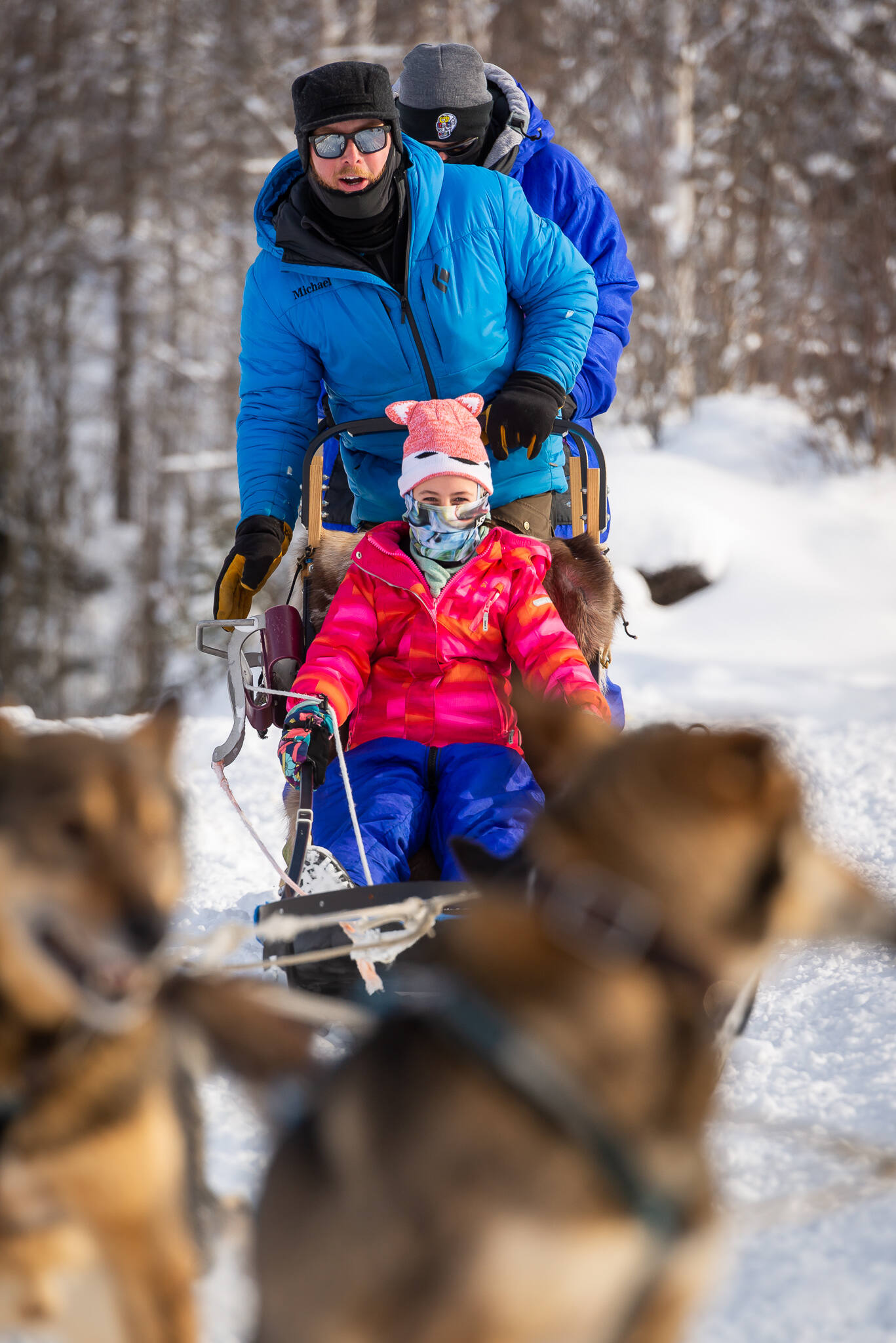 Anchorage dog sledding tour family