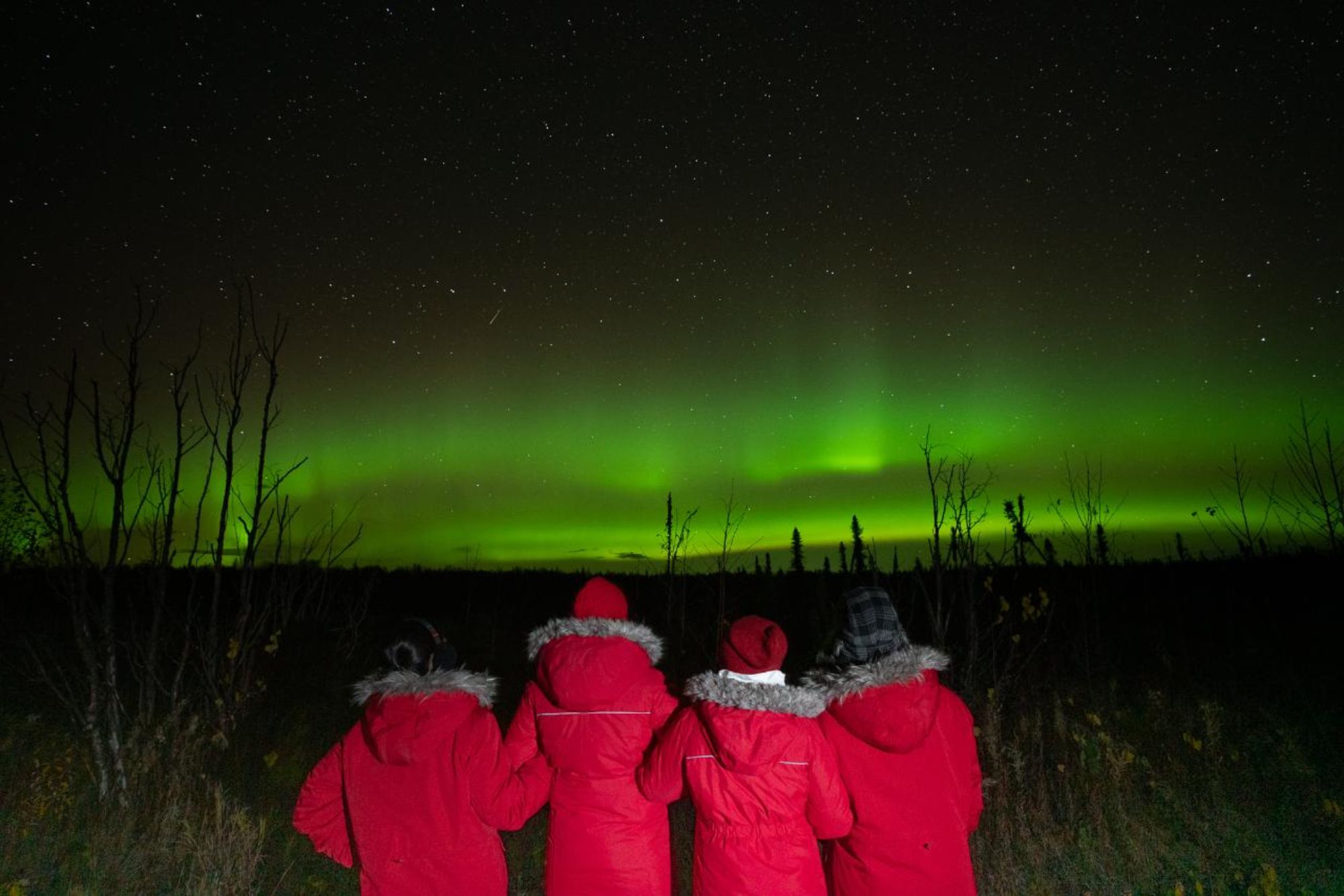 anchorage northern lights tour group picture