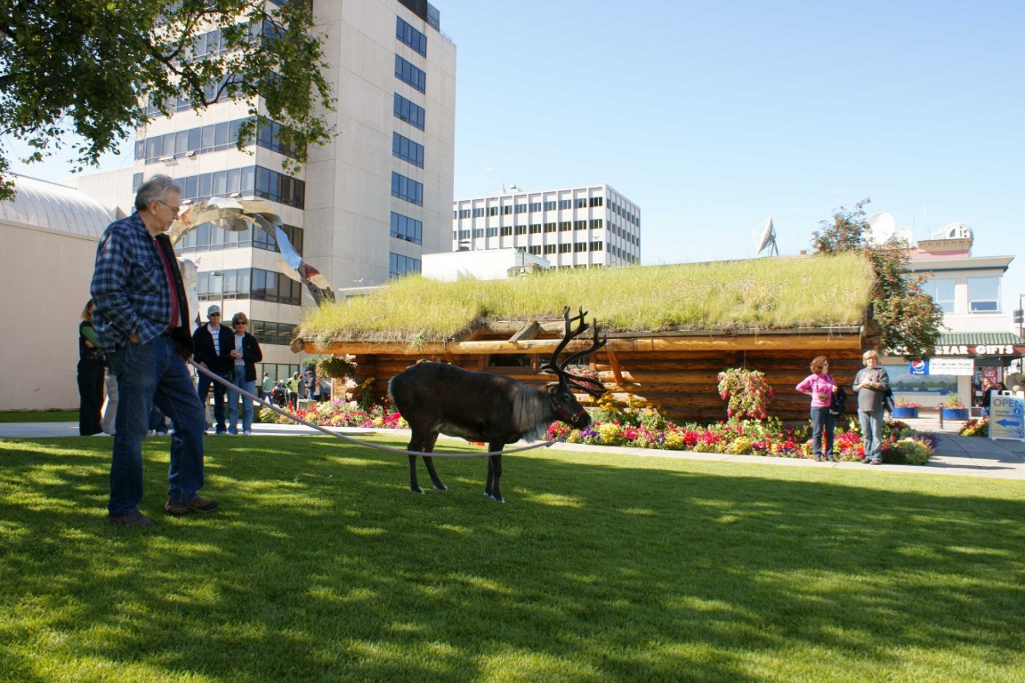 anchorage sightseeing tour