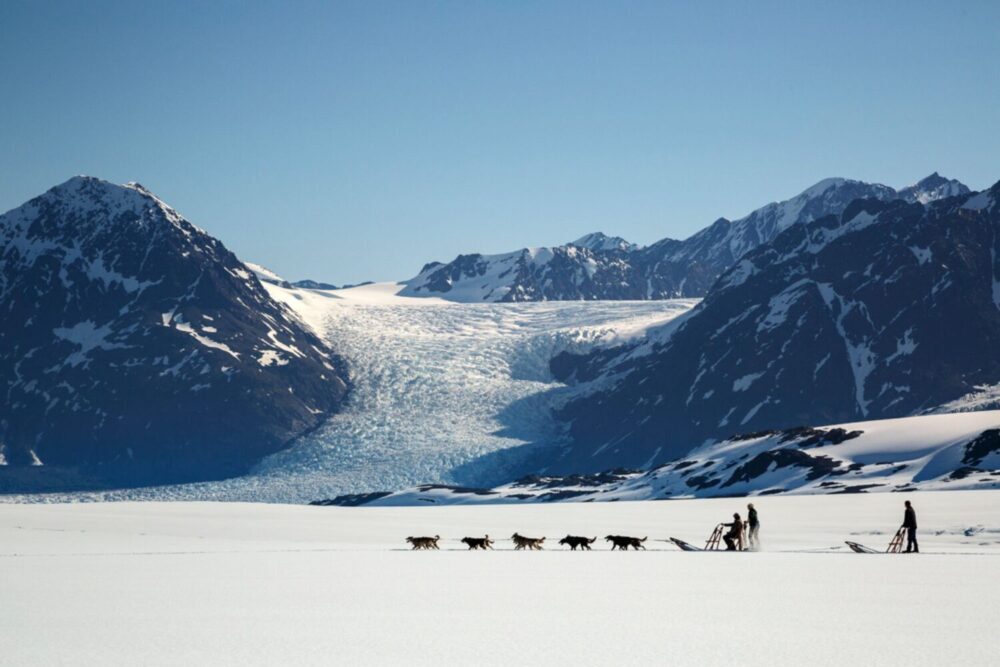 anchorage alaska helicopter tours single dog sled