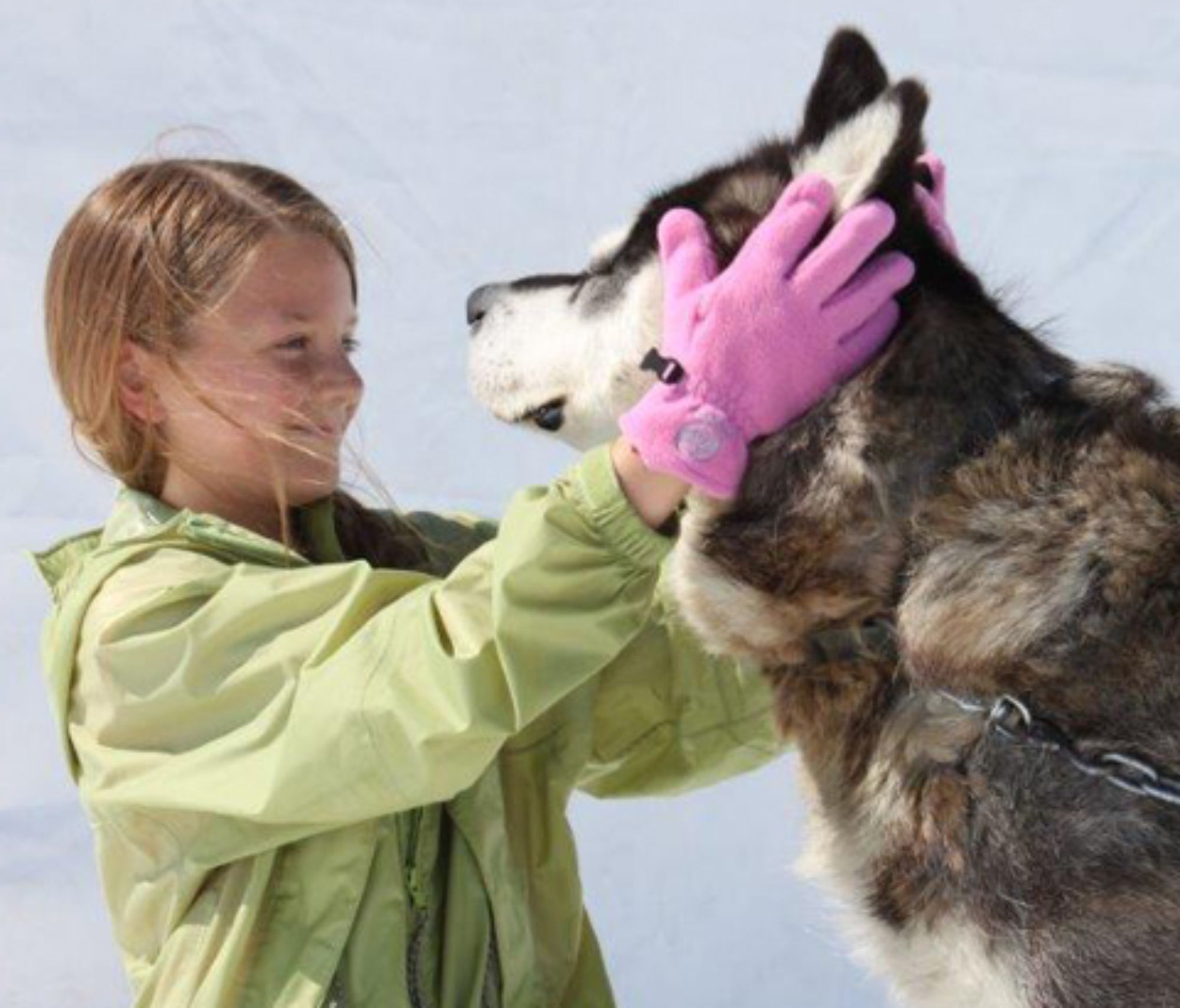 glacier dog sledding alaska girl petting dog