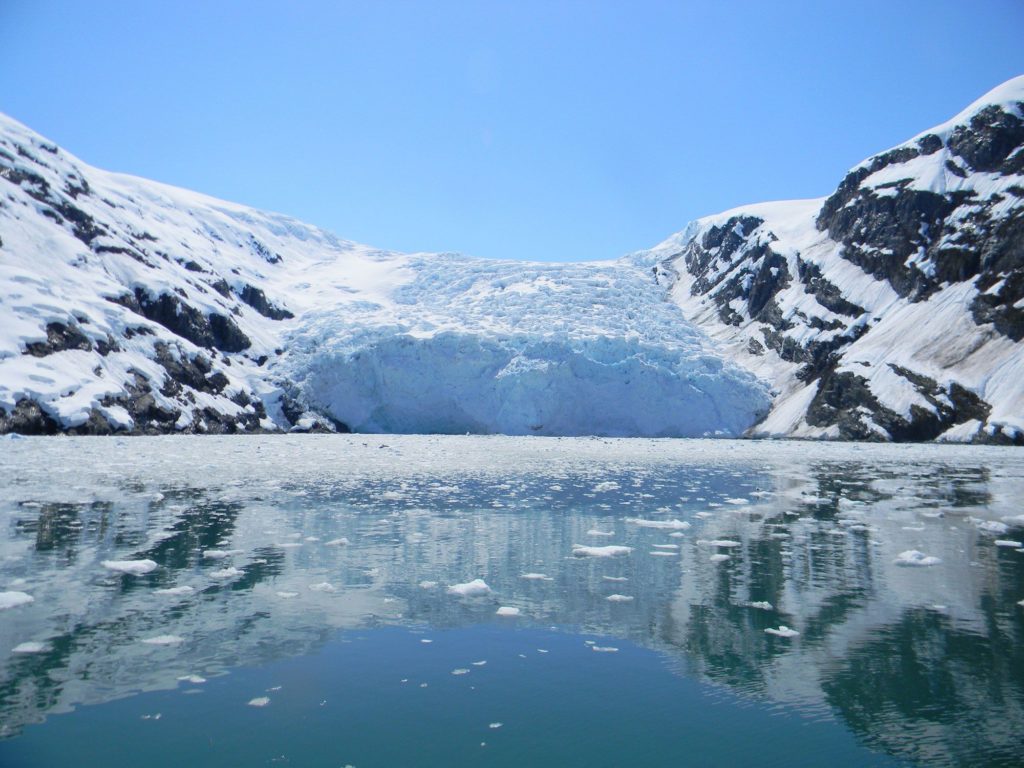 glacier on turnagain arm tour