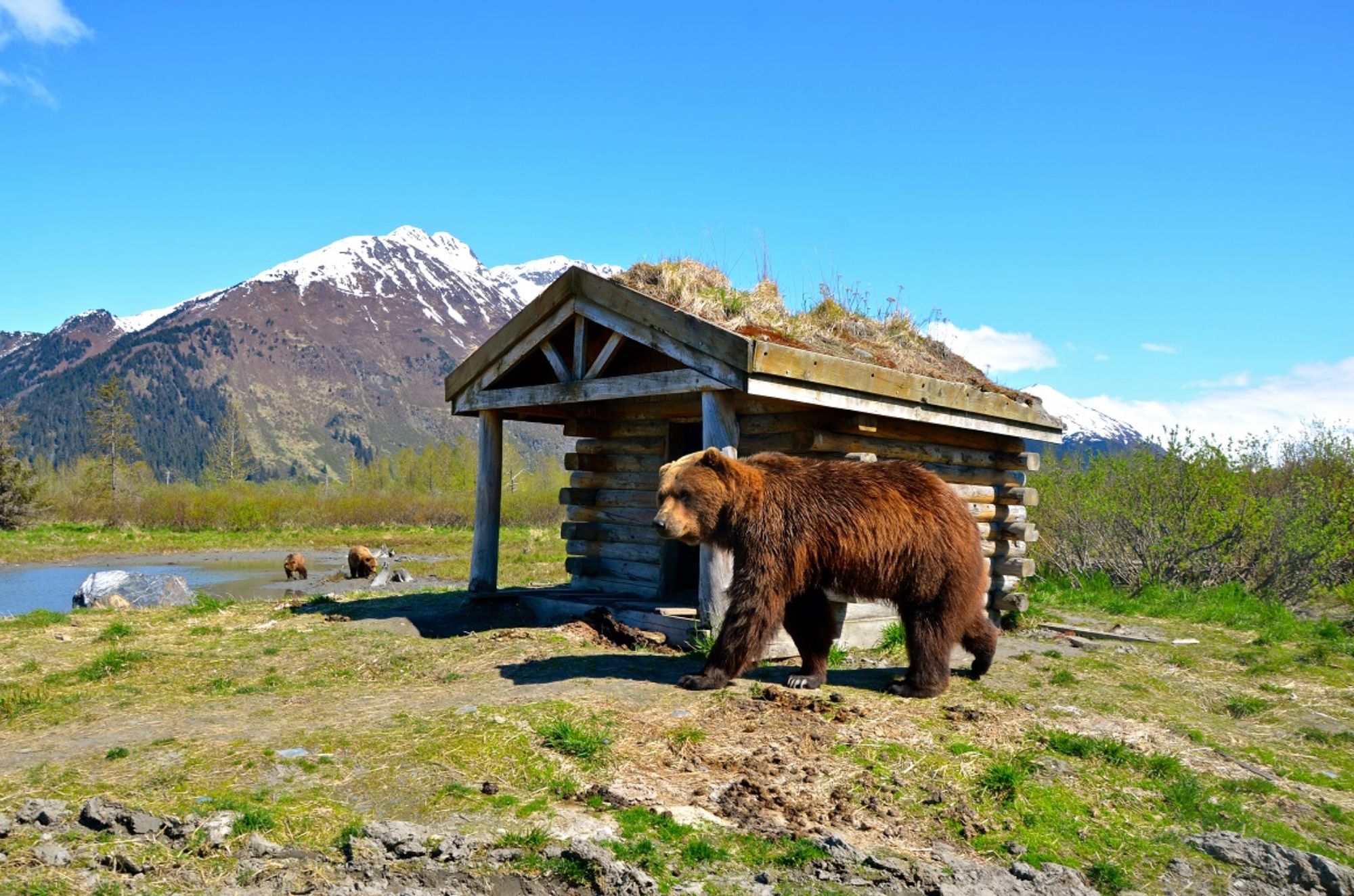 image taken during anchorage to seward transfer