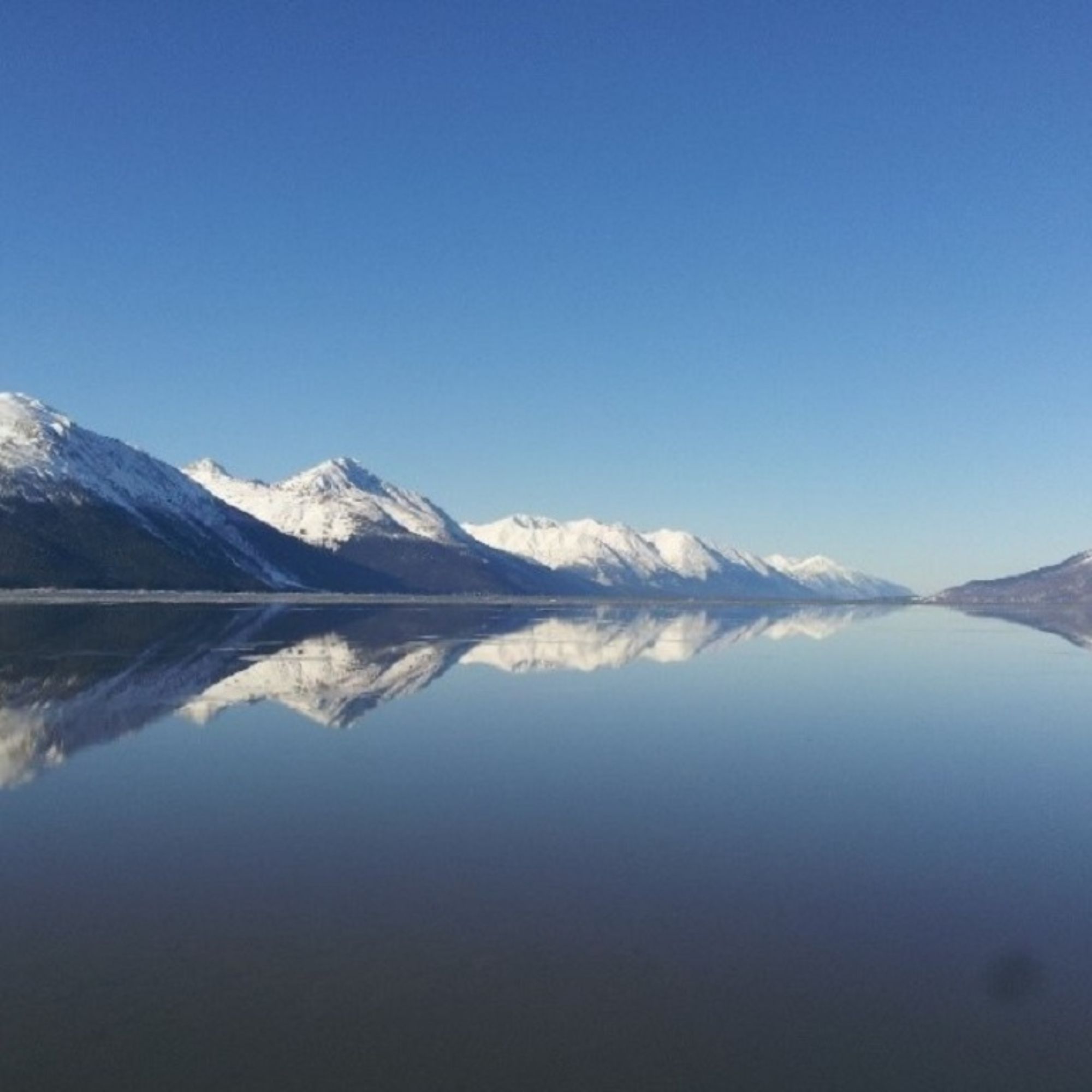 lake during the turnagain arm tour