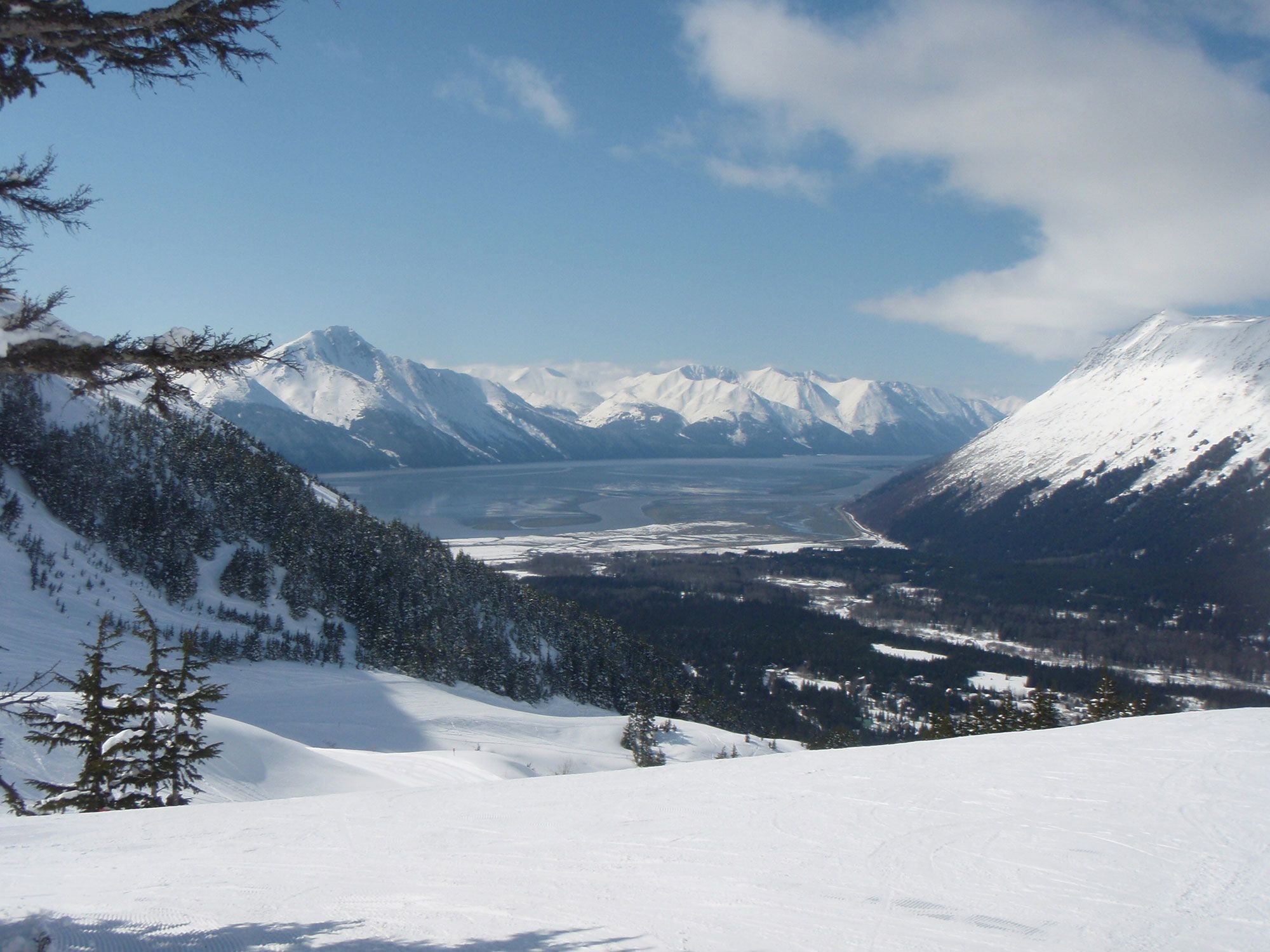 Mountain view during this epic winter wildlife tour
