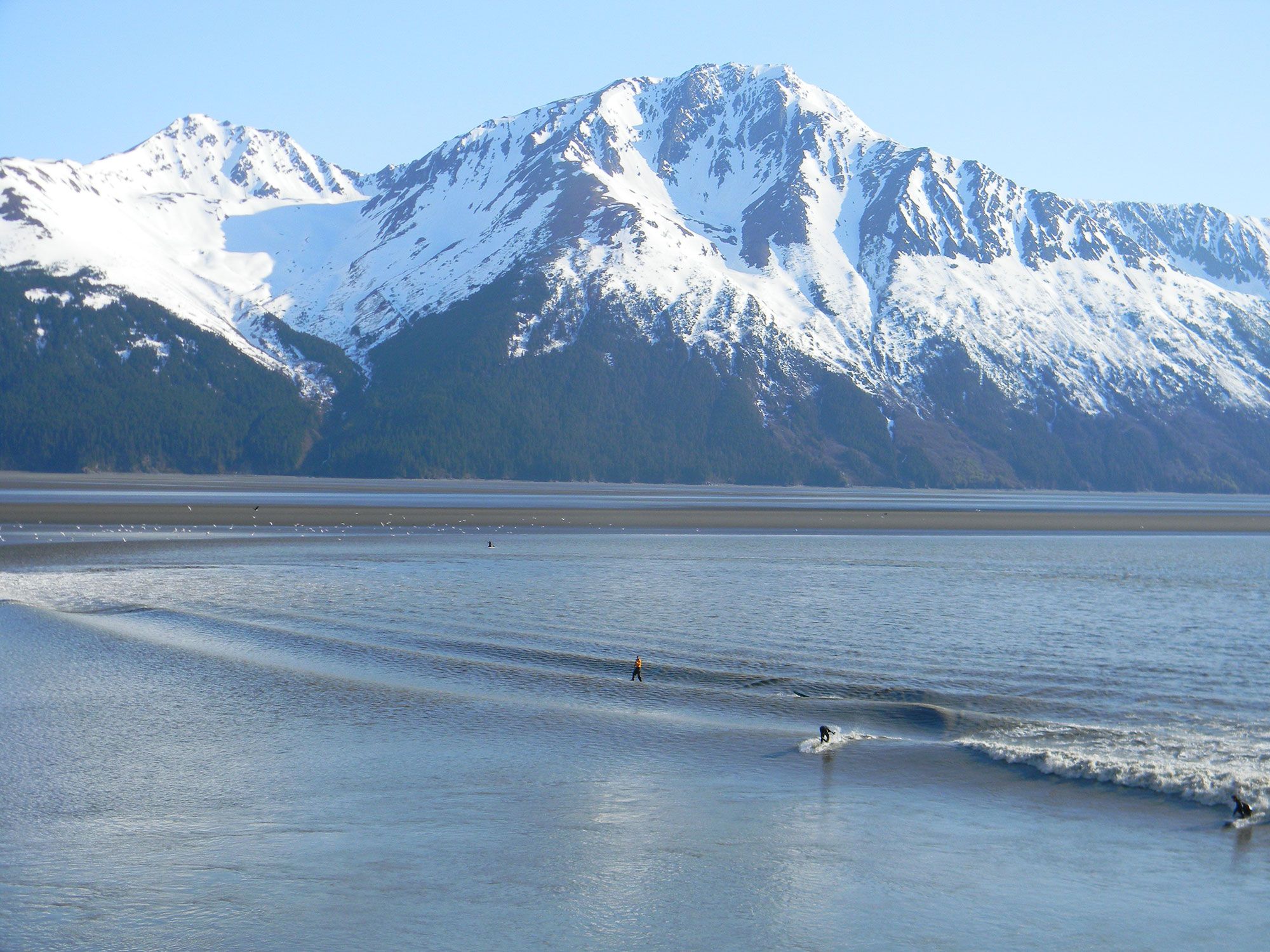 snow capped mountain during turnagain arm tour