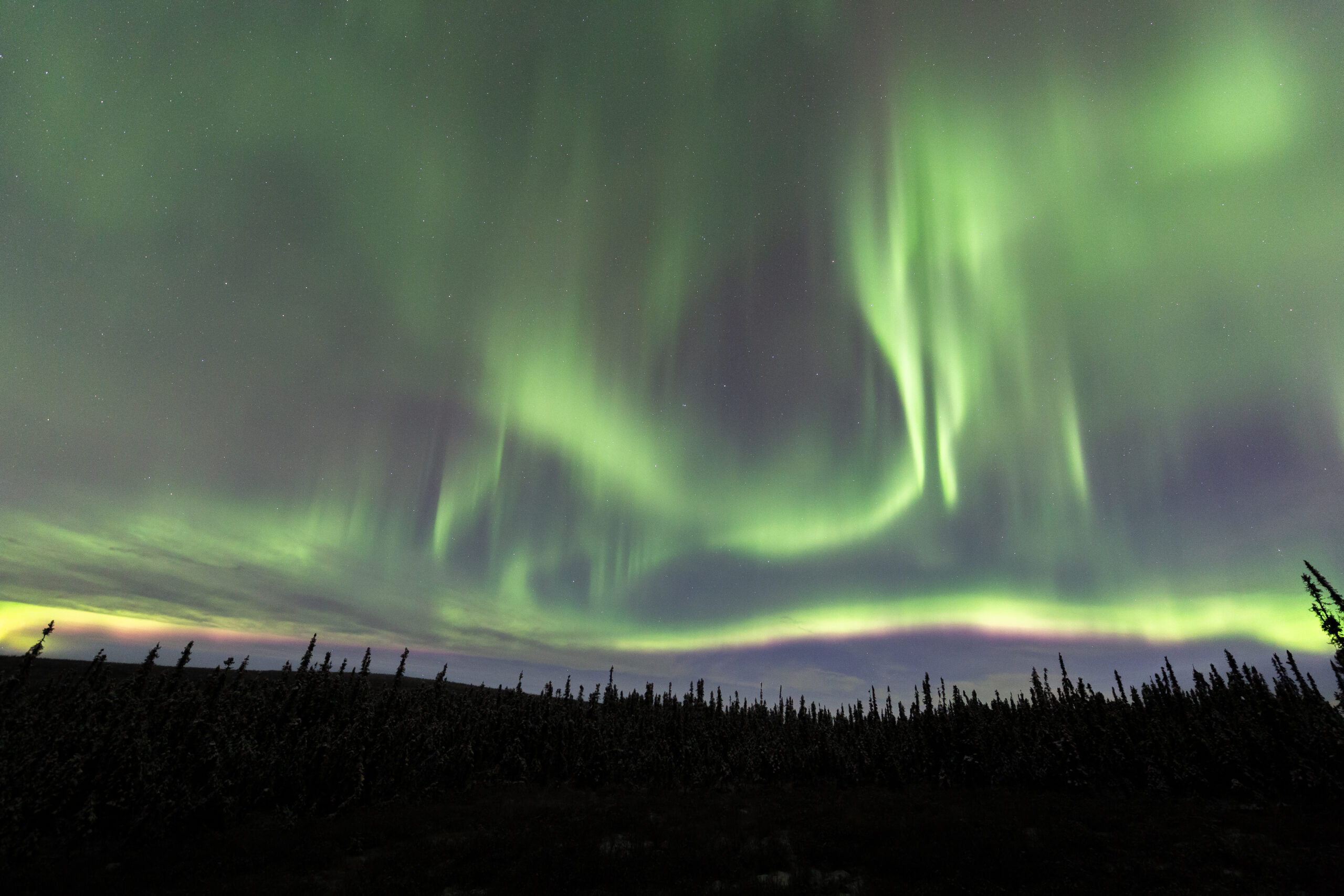 alaska aurora borealis tour