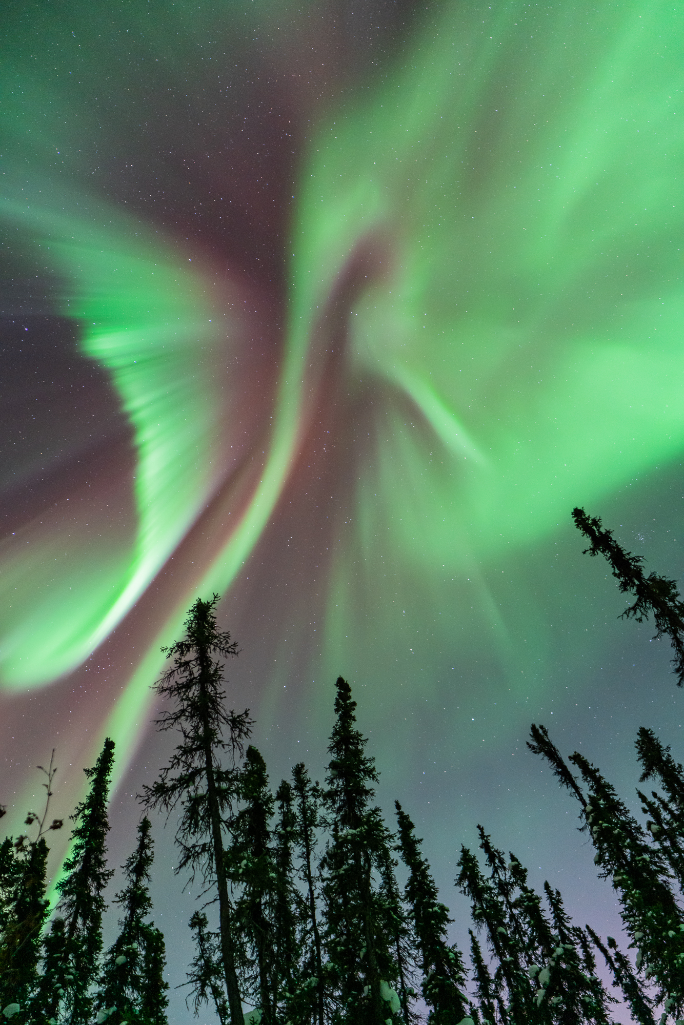 Lights in the sky - Fairbanks Northern Lights Tour