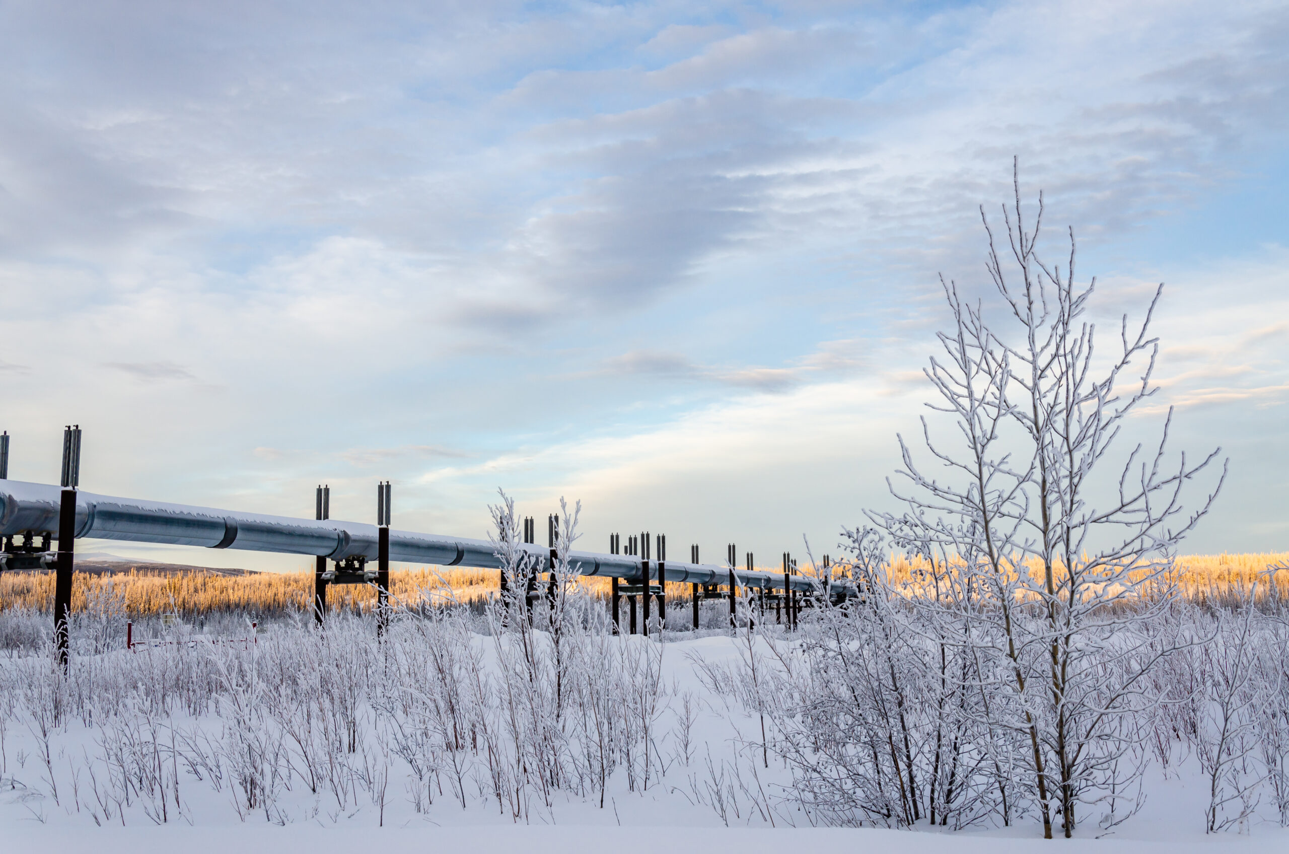 Trans Alaska Pipeline along Dalton Highway