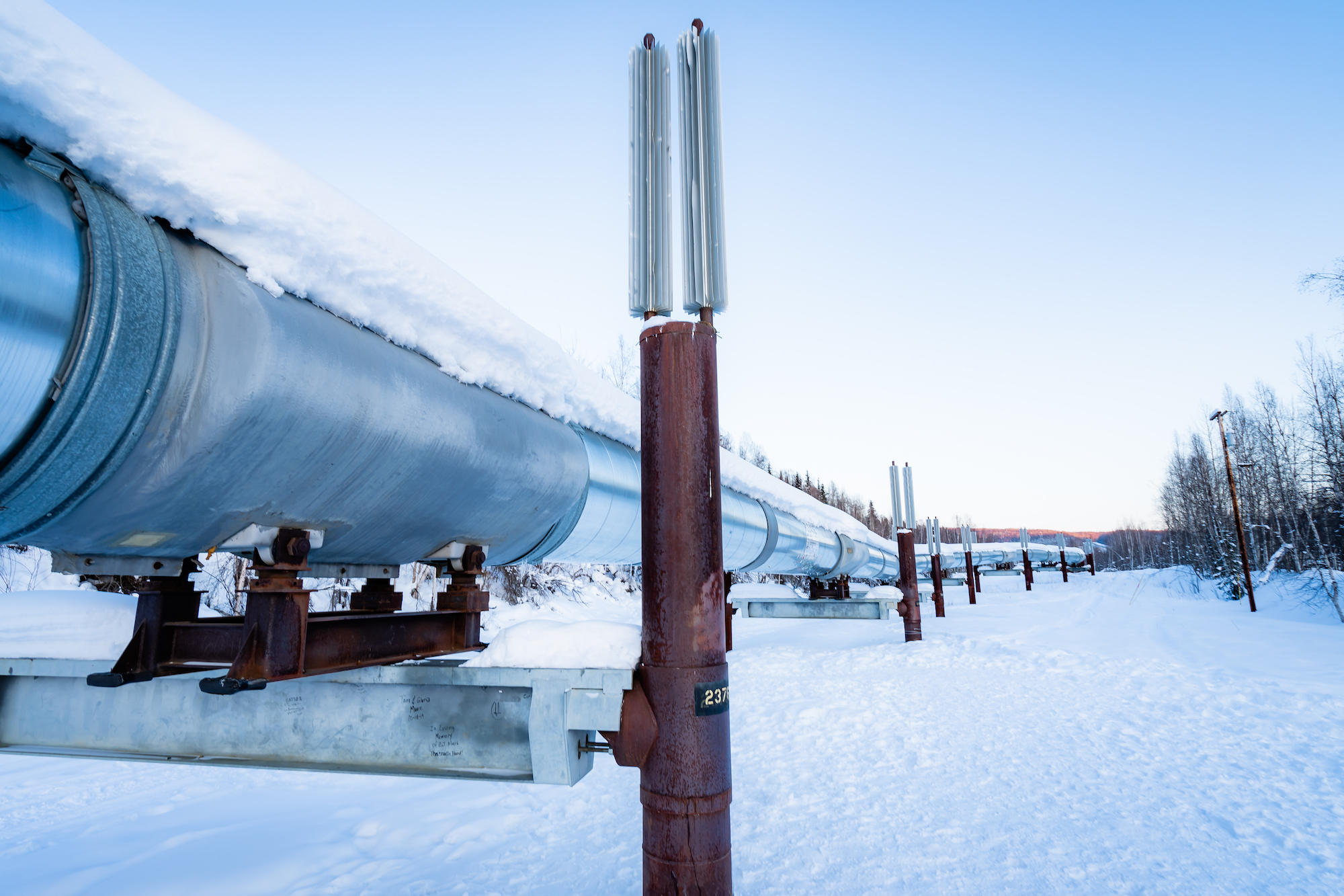 Trans Alaska Pipeline in Winter