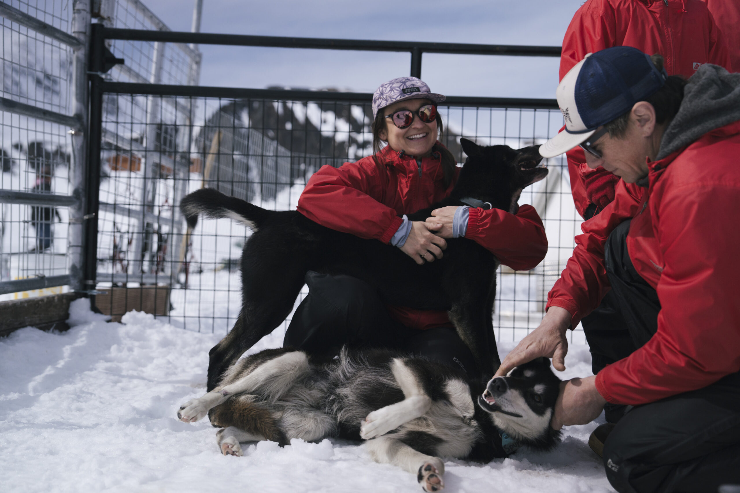 DSC08448 Girdwood Glacier Dog Sledding