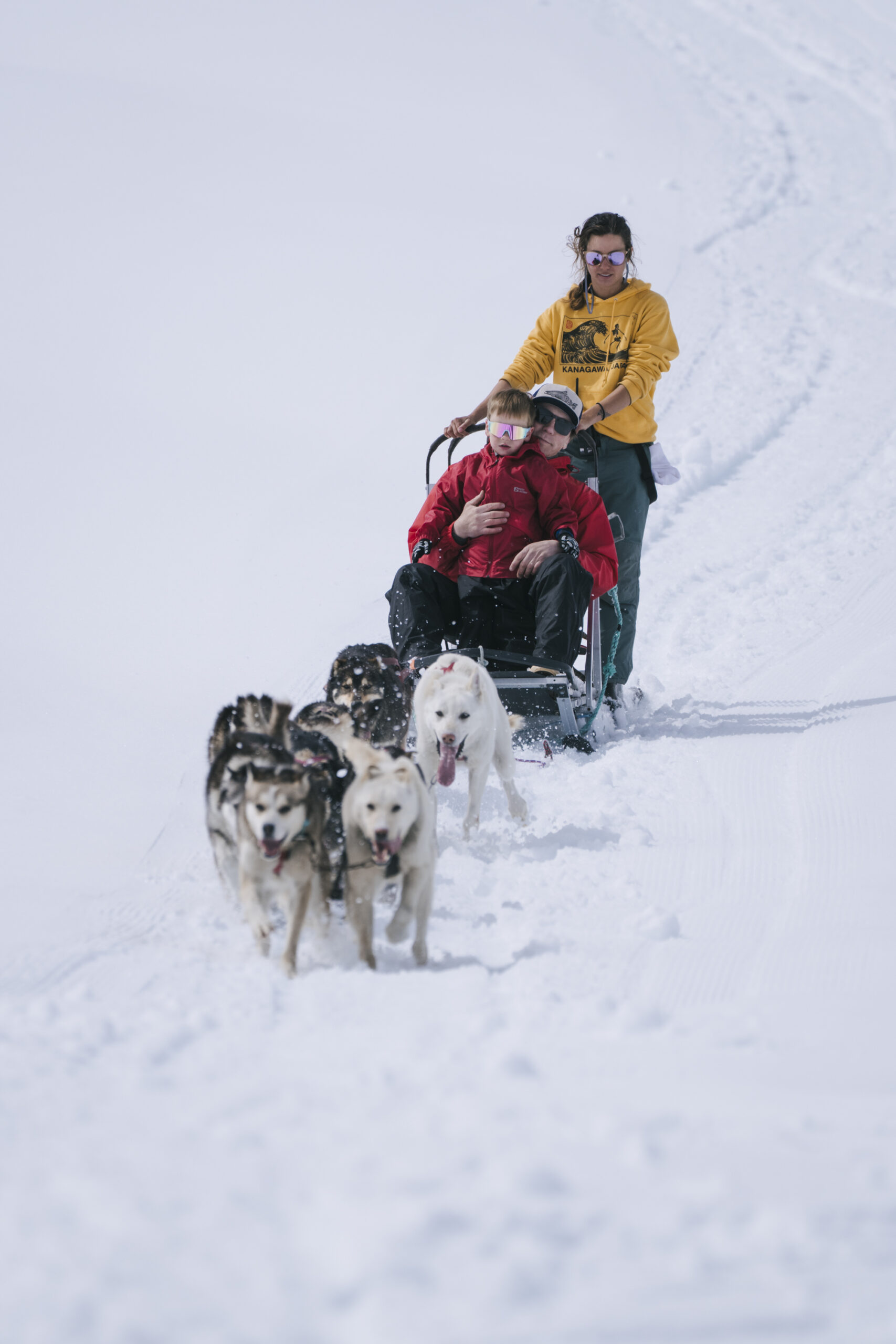 DSC09436 Glacier Dog Sledding